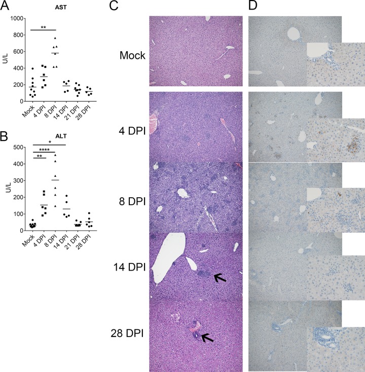 FIG 2