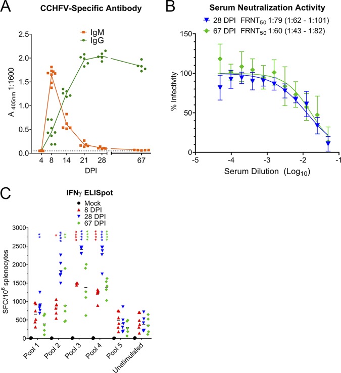 FIG 6