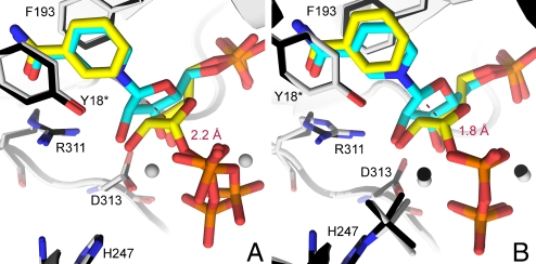 Fig. 6.