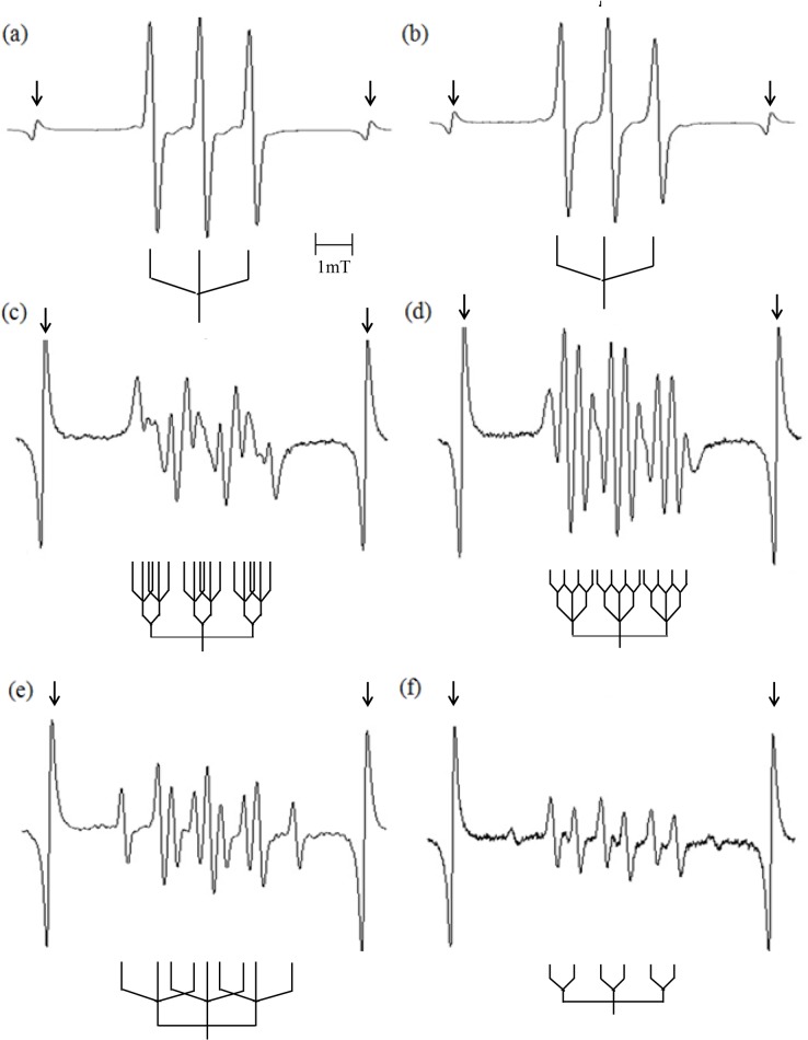 Fig 8