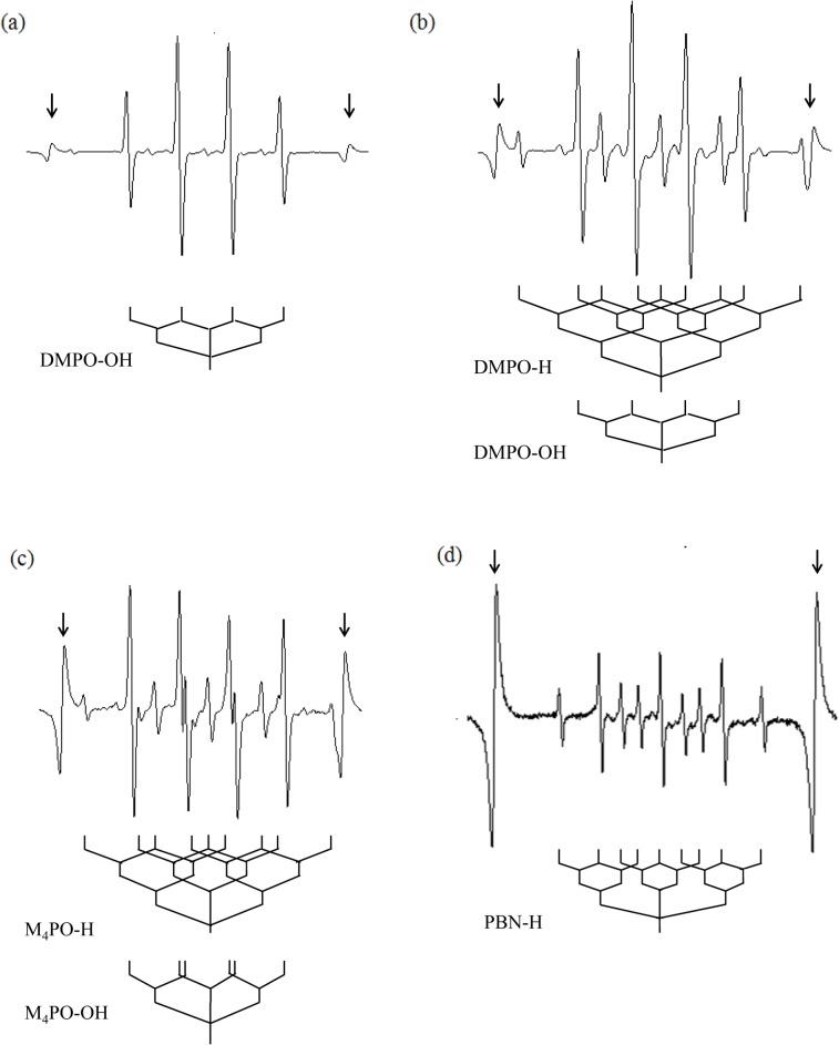 Fig 4