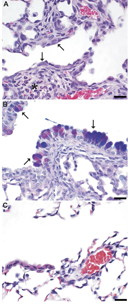 FIG. 5