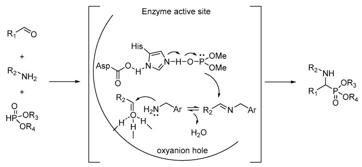 Scheme 2