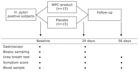 Figure 2)