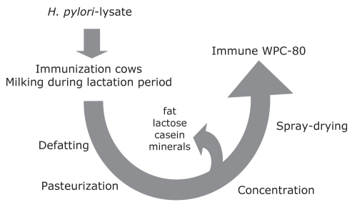 Figure 1)