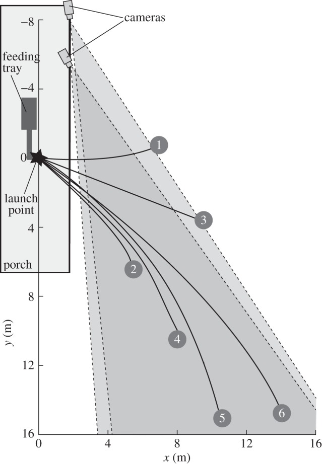 Figure 2.