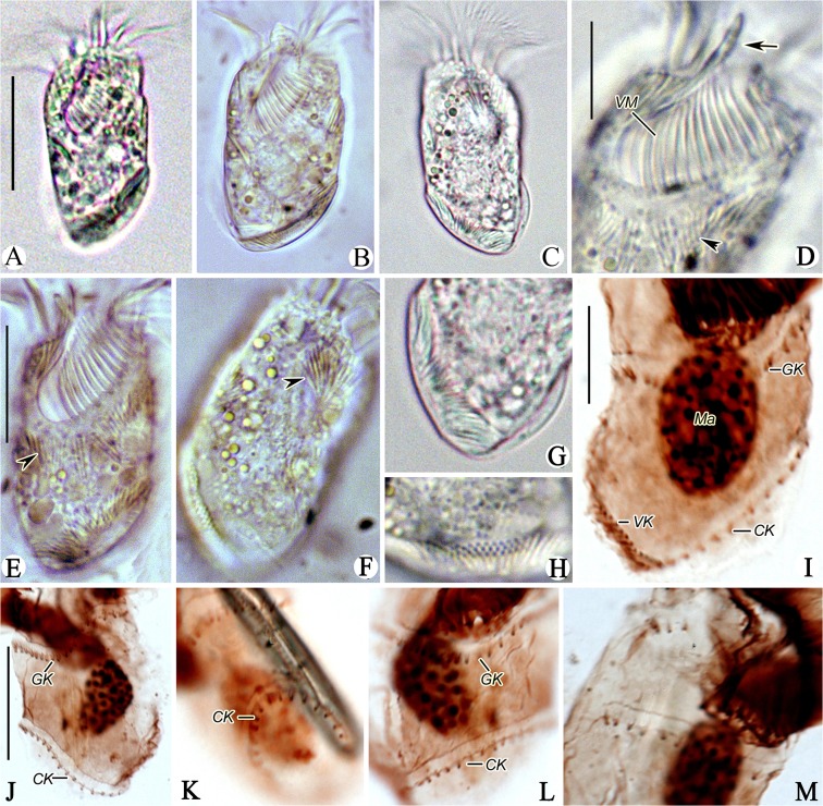 Fig 5