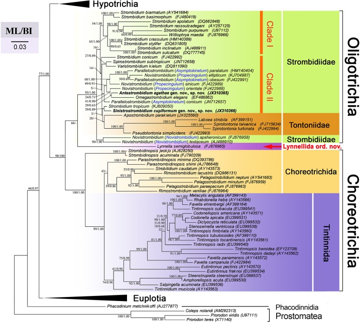 Fig 6