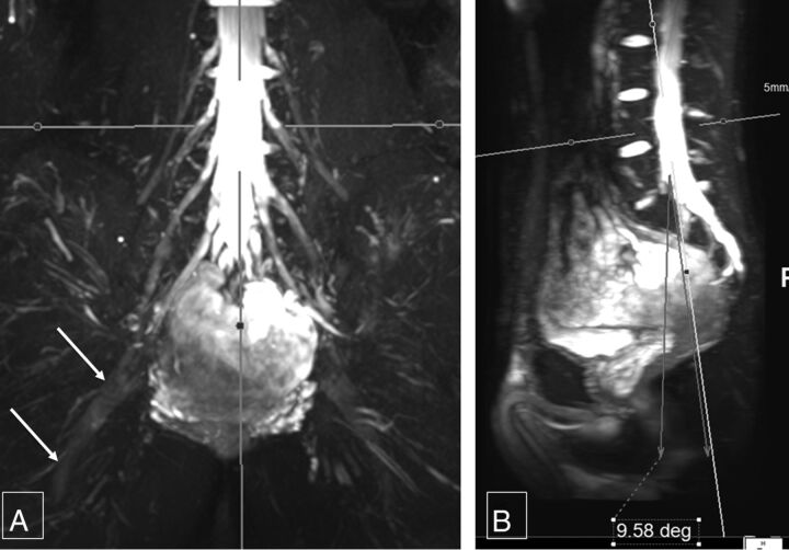 Fig 3.