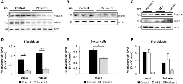 Figure 11.