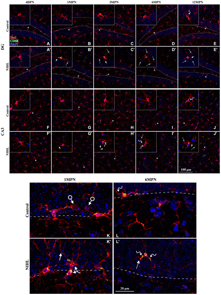 Figure 6