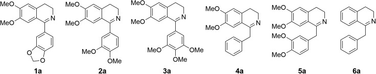 Scheme 3