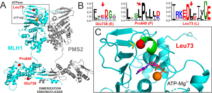 Fig 4