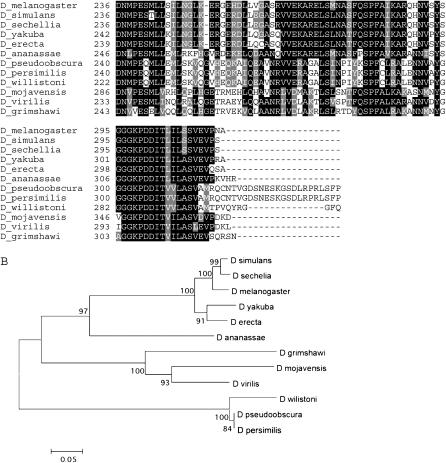 Figure 6.—