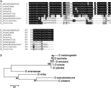 Figure 3.—