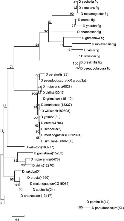 Figure 7.—