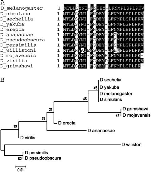 Figure 4.—