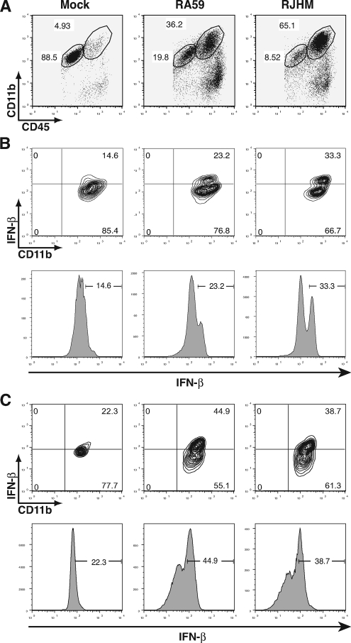 FIG. 6.