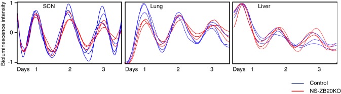 Figure 3—figure supplement 1.