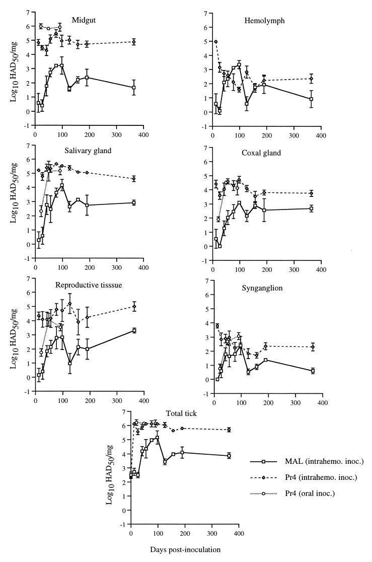 FIG. 4