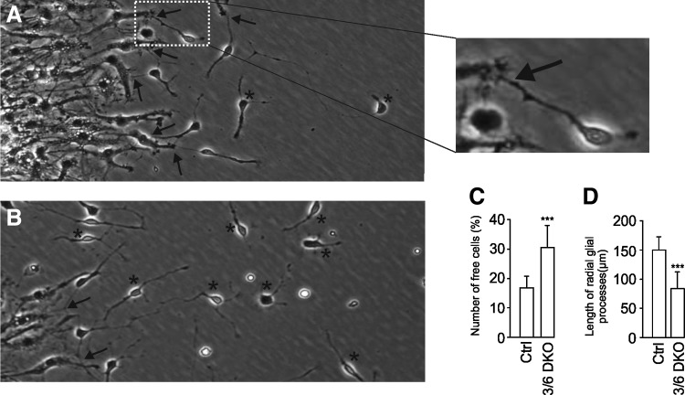 FIG. 6.