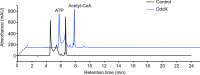 Figure 1—figure supplement 1.
