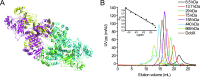 Figure 4—figure supplement 1.