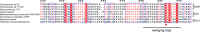 Figure 4—figure supplement 3.