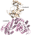 Figure 4—figure supplement 2.