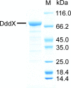 Figure 3—figure supplement 1.
