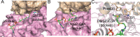 Figure 4—figure supplement 5.