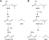 Figure 3—figure supplement 2.