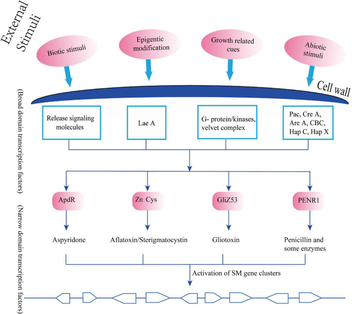 FIGURE 3