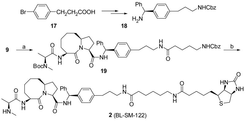 Scheme 4