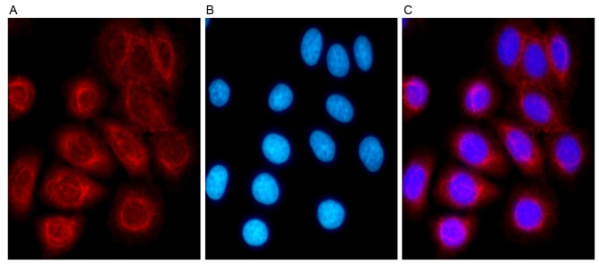 Figure 2.