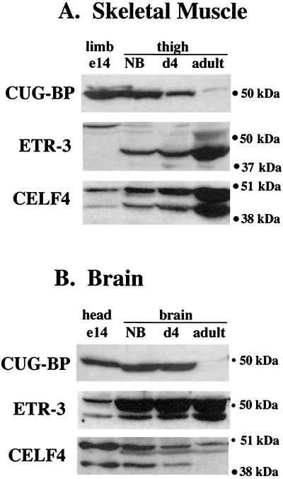 FIG. 6