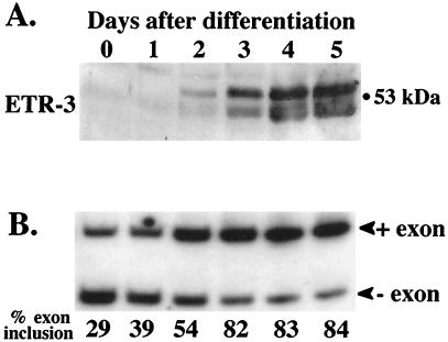 FIG. 8