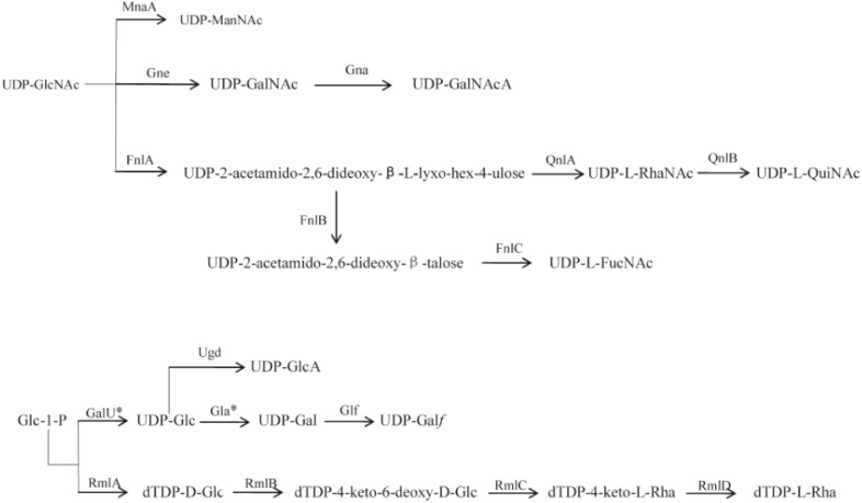 FIGURE 2