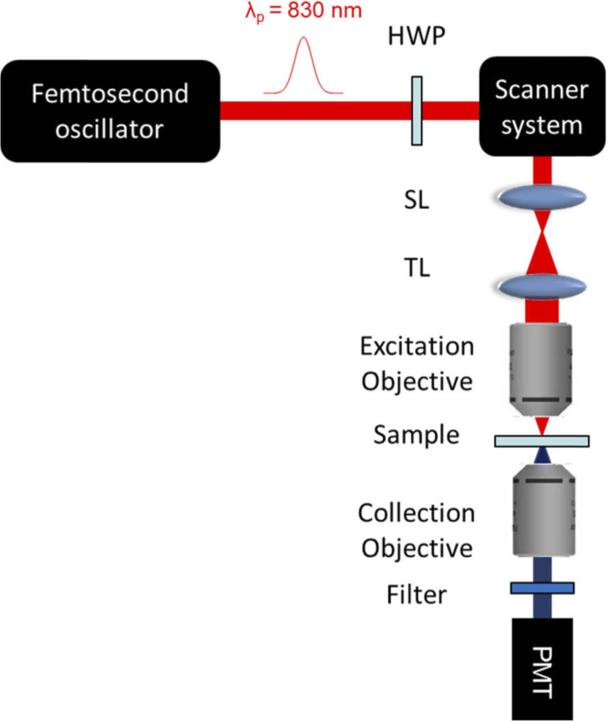 Fig. 2.