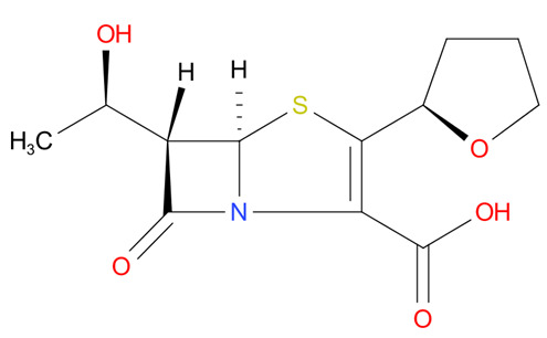 graphic file with name f1000research-9-26631-g0019.jpg