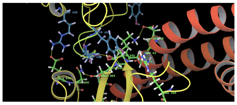 Figure 6. 