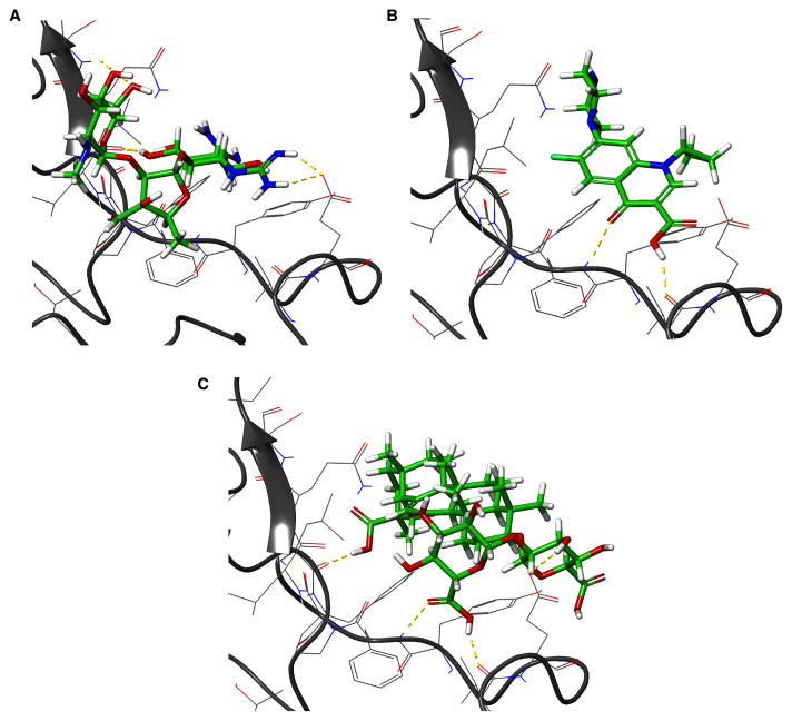 Figure 9. 