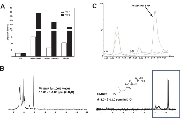 FIG 7