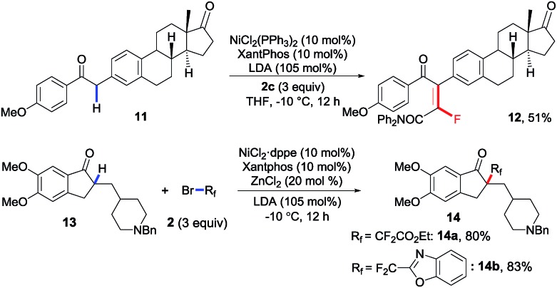 Scheme 4