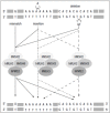 Figure 1.4