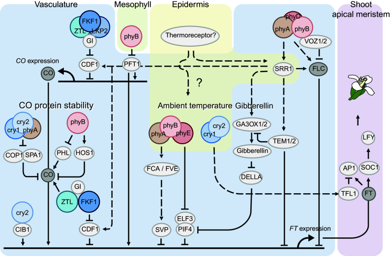 Fig. 2