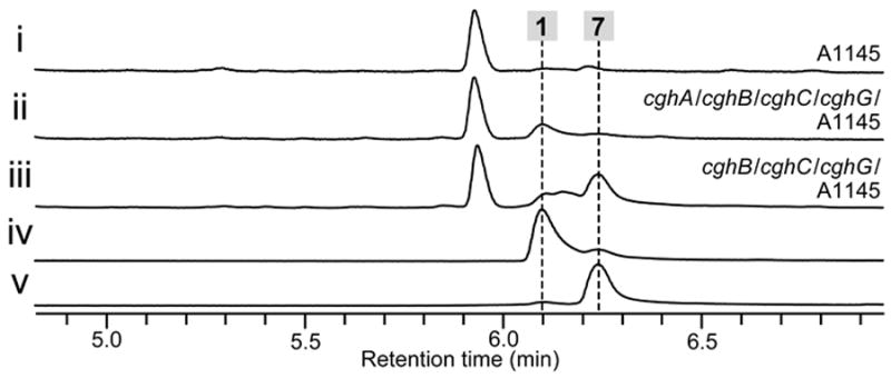 Figure 5