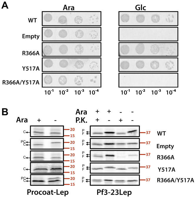 Figure 2