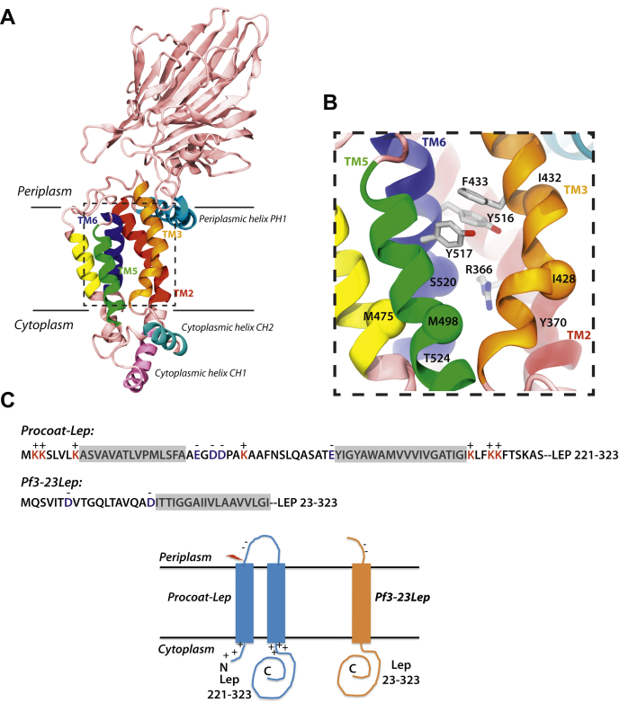 Figure 1