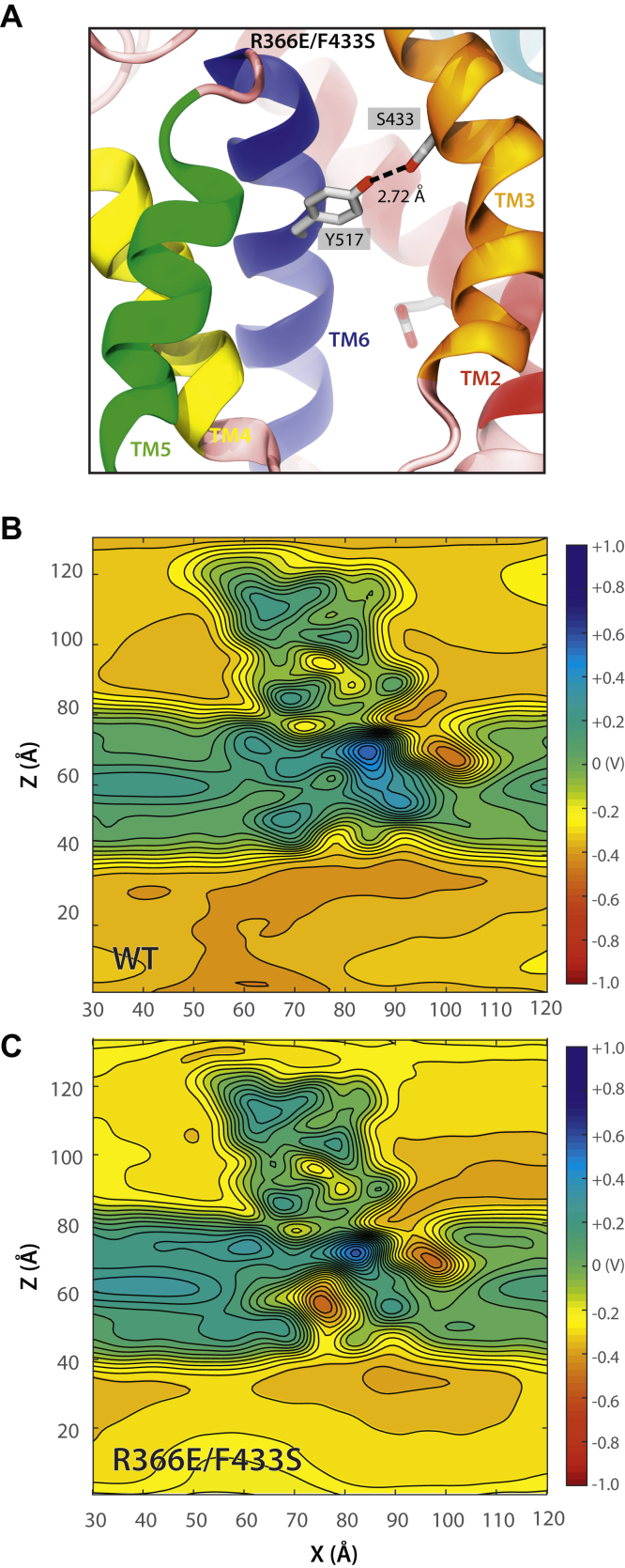 Figure 6